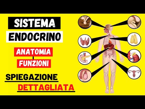 Video: L'anatomia e la fisiologia sono facoltative?