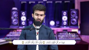 تلاوة هادئه مريحه للنفس لسورة الرحمن بصوت القارئ محمد الكردي