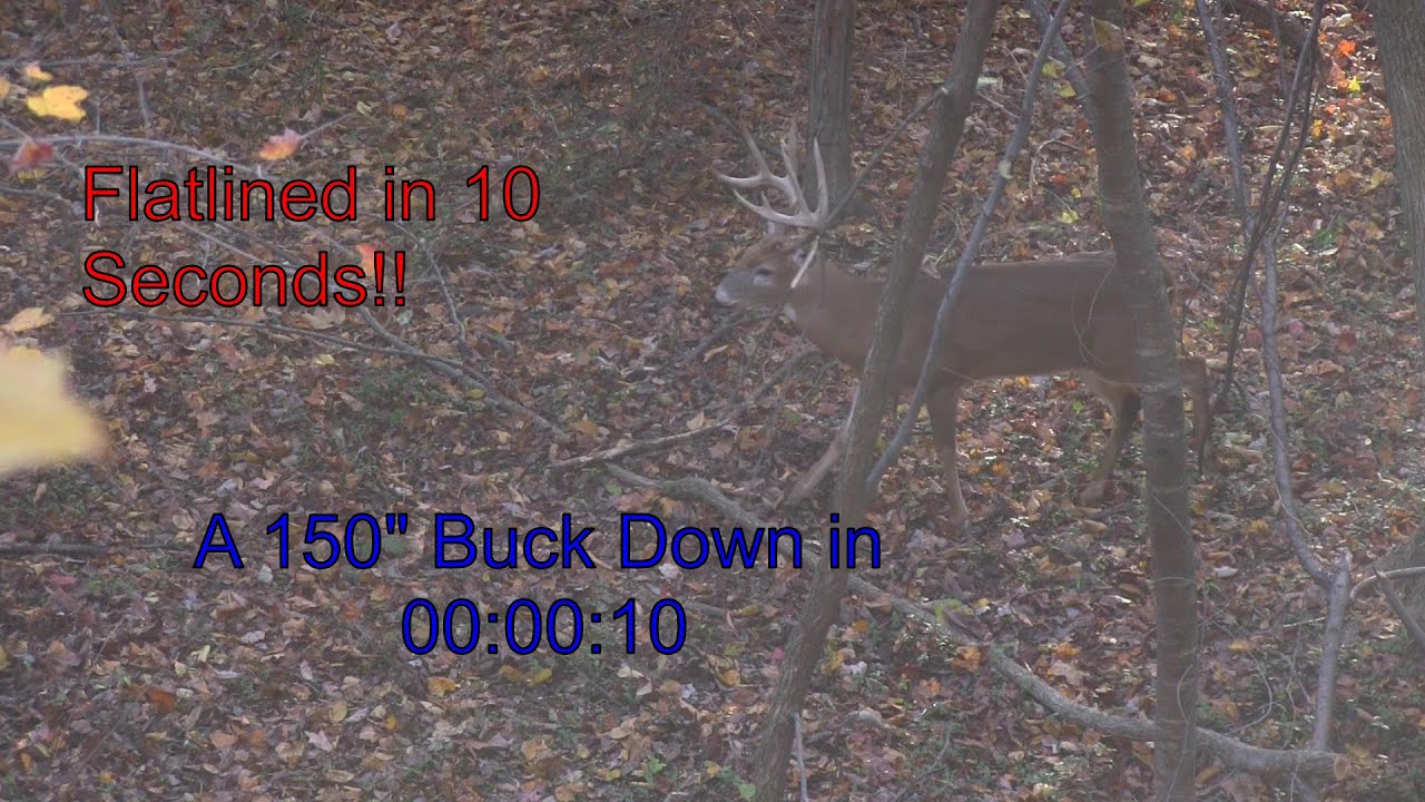 Flatlined in 10 Seconds! Watch The Stopwatch Count Up Exactly 10