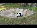 2022/11/16 休園日のパトロール