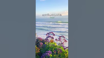 Muadh El Kholti | Extrait Surat Al Mojadala | ما تيسرمن  سورة المجادلة | معاذ الخلطي #quran