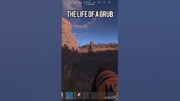 The life of a grub. Part 1    #rust #gaming #shorts