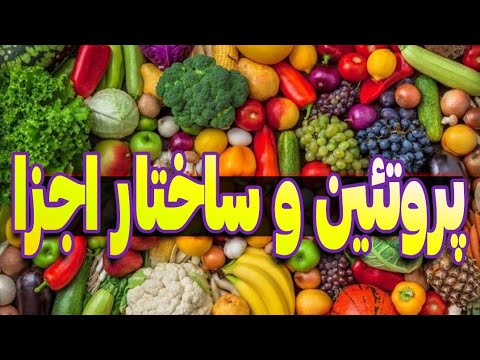 پروتئین چیست ساختار و اجزای پروتئین