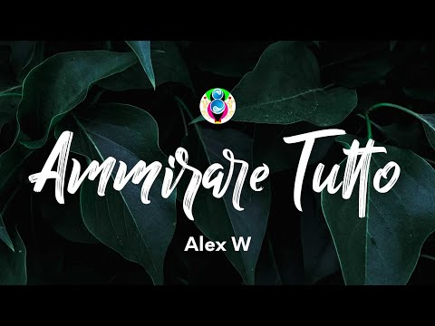 Video Ammirare Tutto