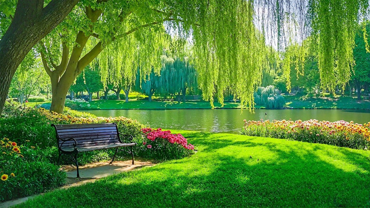 Прекрасная расслабляющая музыка🌿Расслабляющая музыка для снятия стресса, отдыха