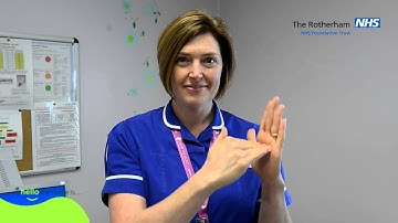 Hello My Name Is - Sign Language Liz