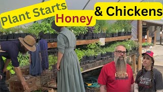 Amish/Mennonites THEIR First Time We were THERE / Plant Starts Chickens Honey