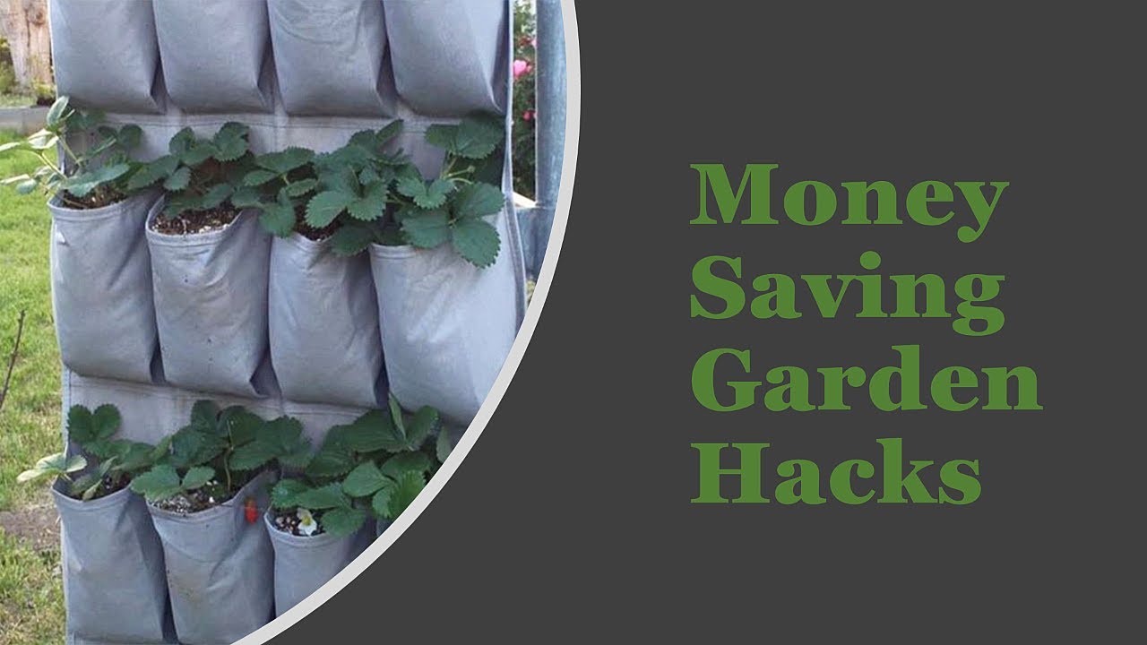 Money Saving Garden Hacks - YouTube