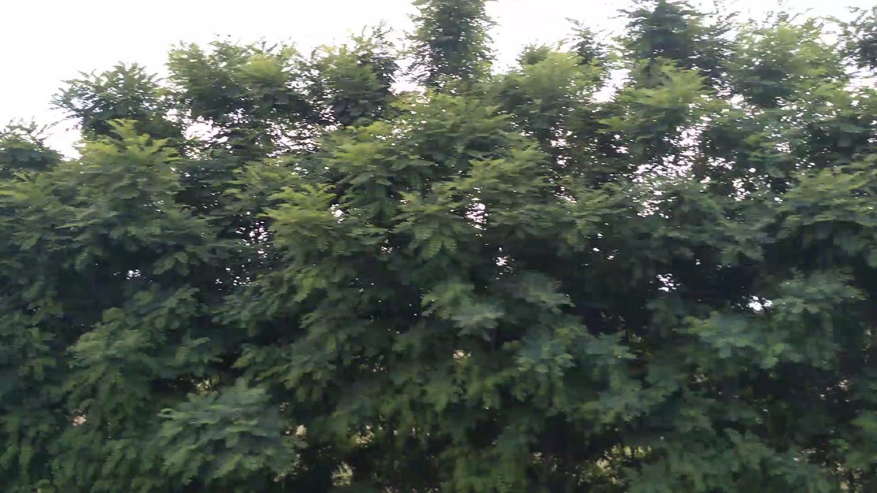 Aldo staz di Chignolo Po ....tra Codogno a Pavia