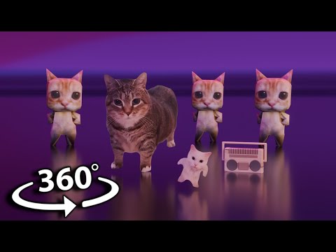 OIIA CAT x Ay mi Gatito Miau Miau [4K] (MONTAGEM MIAU) | 360° VR Music Video