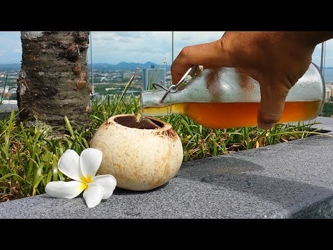 Vino di Cocco