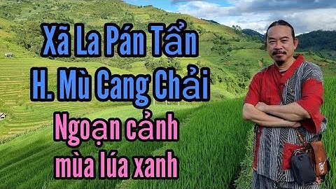 Ngoạn cảnh ruộng bậc thang xã La Pán Tẩn, H. Mù Cang Chải, mùa lúa xanh - 0641