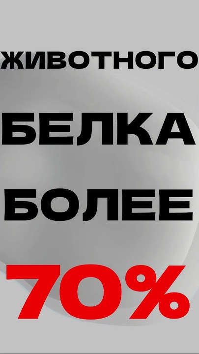 УМКО КОРМ - YouTube