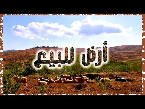 أرض للبيع ٣ ٥ دونم في الزبداني إطلالات خلابة وقريبة من دمشق فرصة استثمارية مميزة