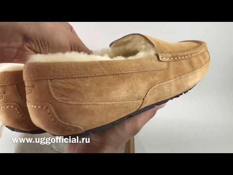 Обзор мужские мокасины угги UGG Ascot Chestnut