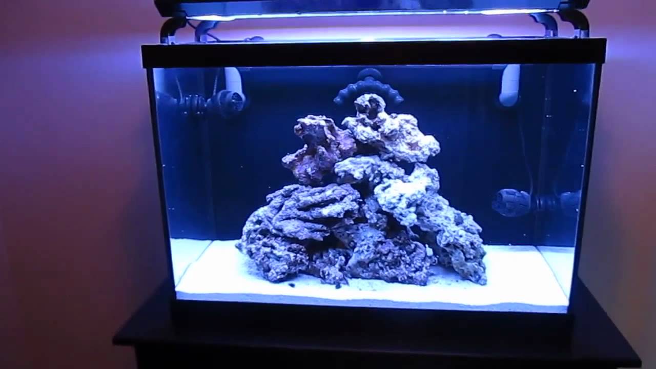 65 gallon aquarium