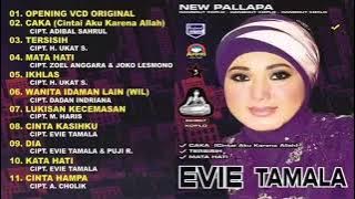 New Pallapa Best Of Evie Tamala Vol 3 Full Album