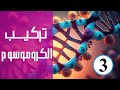 تركيب الكروموسوم الحلقة الثالثة كورس وراثة
