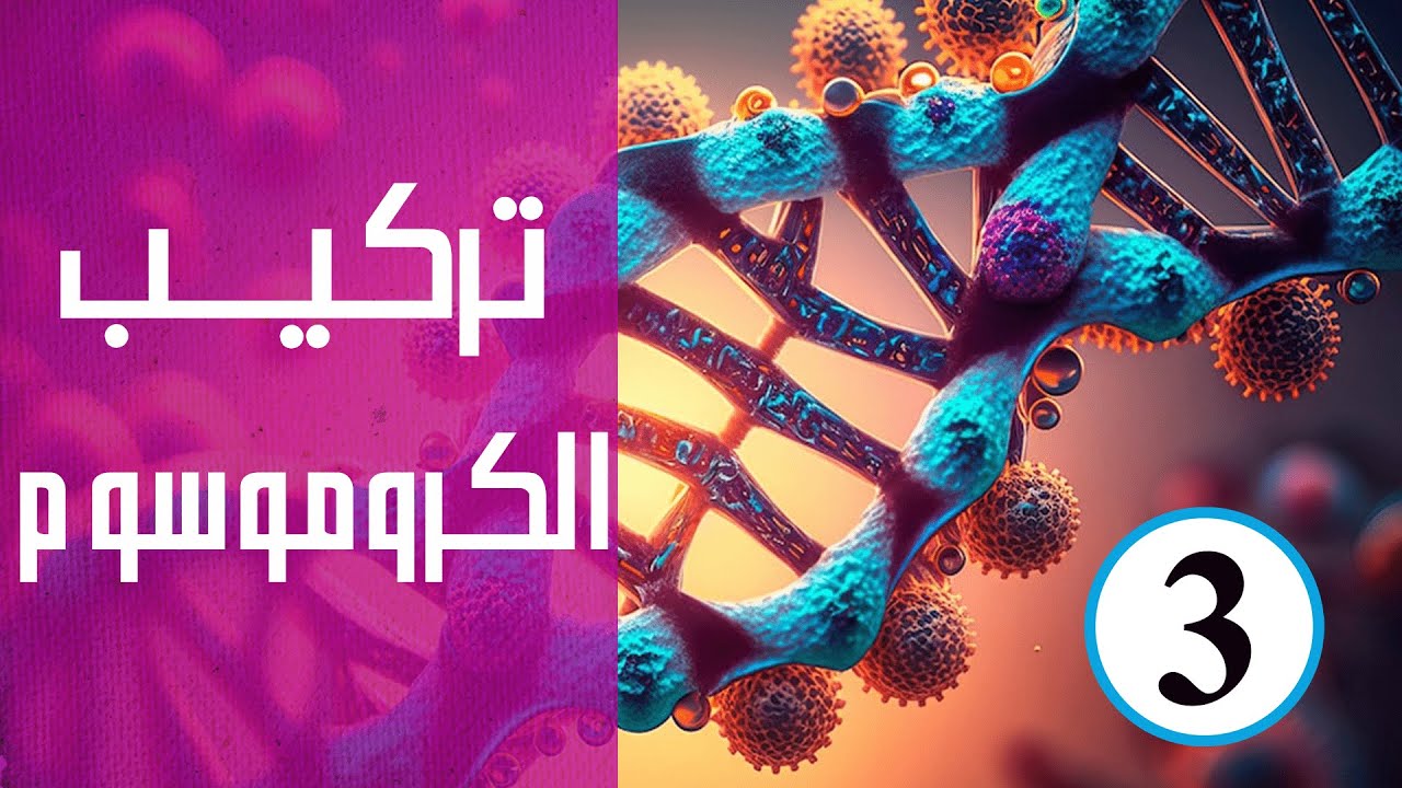 تركيب الكروموسوم | الحلقة الثالثة | كورس وراثة
