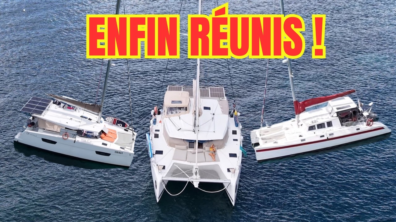 ⁣ON CROISE LA TRANSAT CAFÉ L’OR EN PLEINE MER ! Èp.52