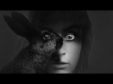 Joyhauser - Rabbit (Original Mix)