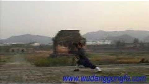 Wudang Xuangongquan 1 - Master Yuan Xiu Gang