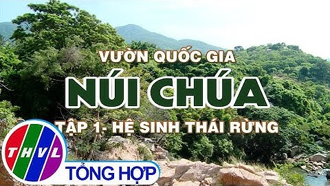 Ký sự truyền hình: Vườn quốc gia Núi Chúa - Tập 1: Hệ sinh thái rừng
