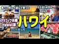 2025年5月アラフィフ夫婦/食べて飲んで遊んで笑って楽し過ぎた大人ハワイ/大行列に並んで分かった大人気の理由/ホノルルクッキーカンパニーでお土産/Day4🌺