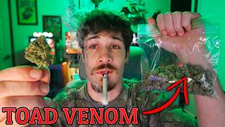 I Tried the Most Popular Strain of 2026