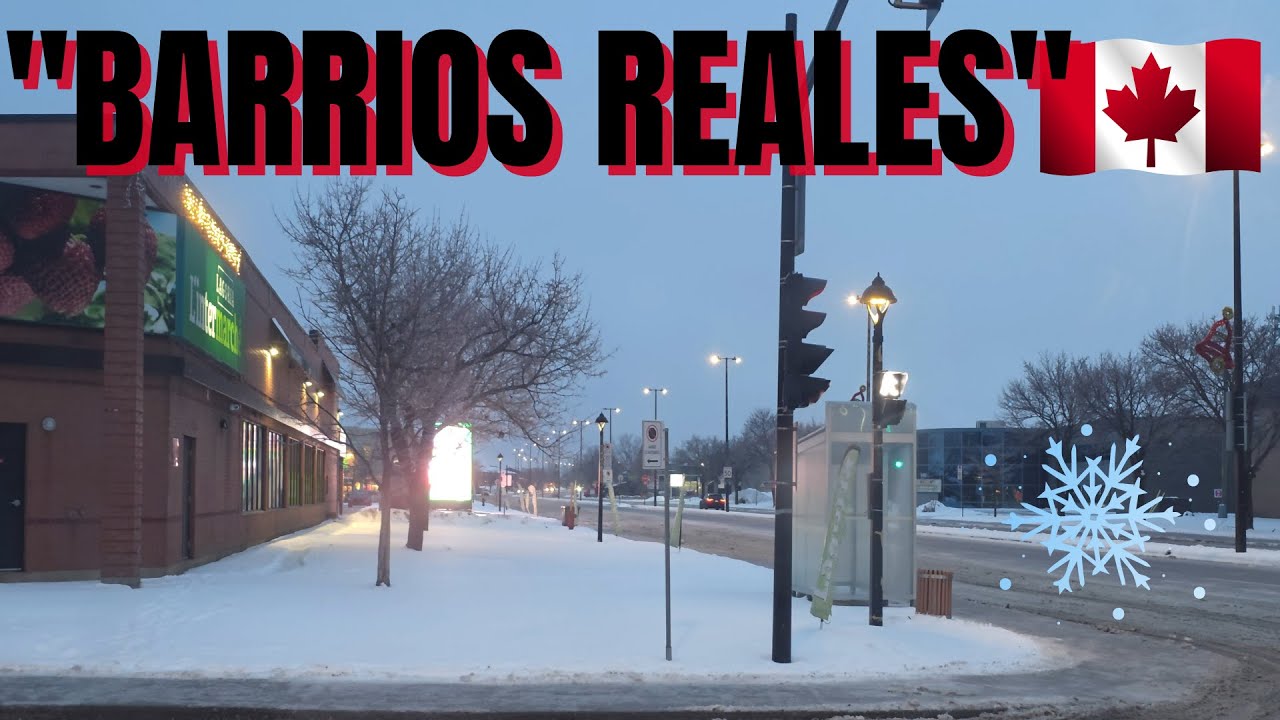 ¿Cómo se ven las calles de Canadá a -15°C? Tour en Auto por la Ciudad ❄️🇨🇦