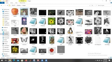 Matlab Program on Image Histogram and RGB to Gray