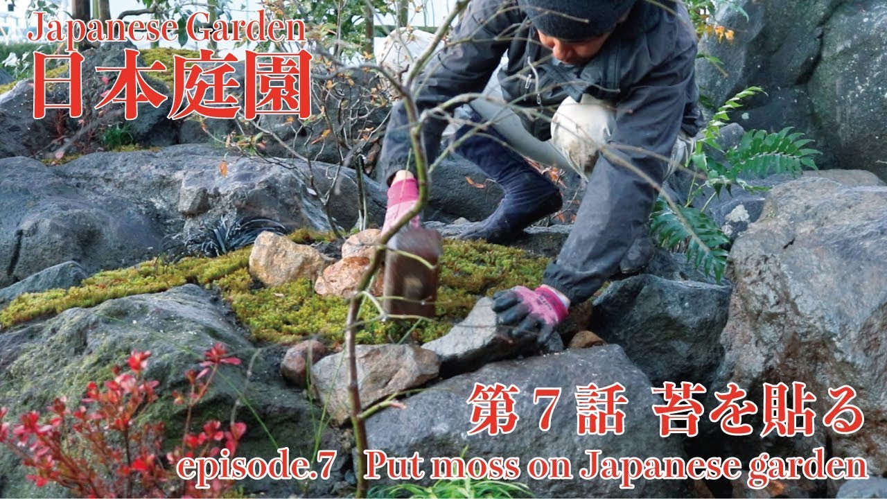 Pro.1 - Ep. 7) 〜Making a Japanese Garden. Put moss on Japanese