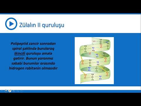 Video: Səviyyə biologiyasını necə yoxlamırsınız?