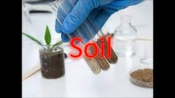 Quiz / Soil /Science for kids  / Grade - 3