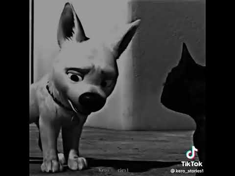 هوانت لسا ناوي ترجعلها