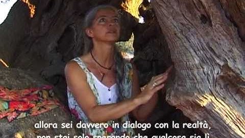 The poetics of touch: NANCY STARK SMITH, a pathway into contact improvisation