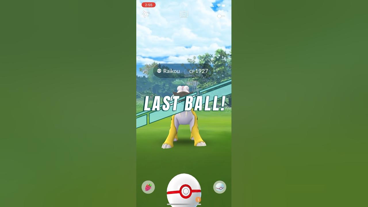 1 MINUTE COUNTERS for RAIKOU