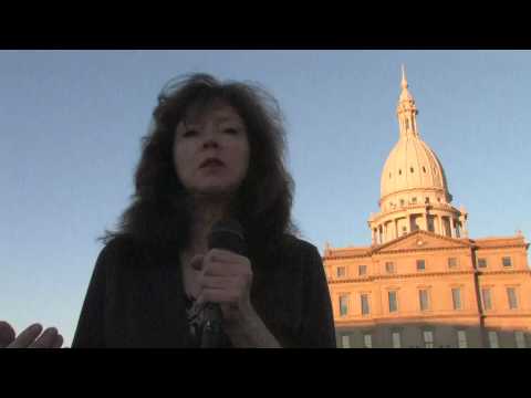 State Owned Banks: Fixing the Economy by Ellen Hod...