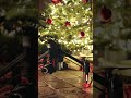 Is there any Ronin gear on your Christmas list this year? | Inspire 3