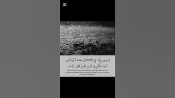 ما تيسر من سورة الأنفال/ القارئ الشيخ أحمد العجمي