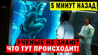 УЧЕНЫЕ ПО СЕЙ ДЕНЬ НЕ МОГУТ ПОНЯТ ЧТО ТУТ ПРОИСХОДИТ!!!