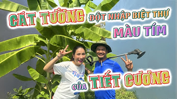 CÁT TƯỜNG đột nhập BIỆT THỰ MÀU TÍM củaTIẾT CƯƠNG