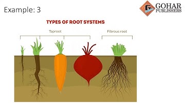 Skylark Science Book 2, Chapter 1, Lecture 1