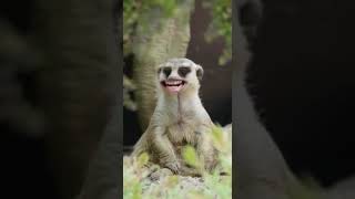 no me quiero bañar así cochina me voy a que dar