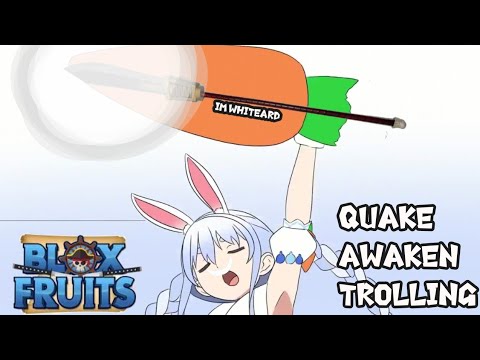 Quake Trolling  Blox Fruit 