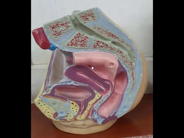 Porno onlayn tomosha: Yetuk chex ona pul uchun becerdin oladi Tabiatda haqiqiy etuk jinsiy aloqa