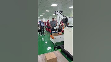 Palletizing robot #six-axis robot #industrial robots