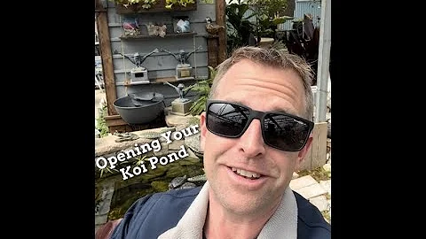 Opening Your Koi Pond in the Spring