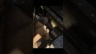 Amazing Secret Loot Location RDR2 #rdr2 #reddeadredmption2 #reddeadredemption #arthurmorgan #gaming