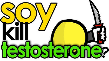 Does SOY Lower TESTOSTERONE?
